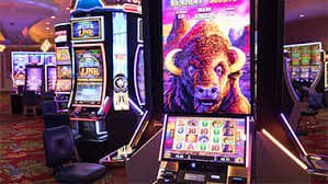 new88 bet